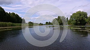 Aero video recording. Summer, in the afternoon, the river landscape with water lilies. Around there are the trees, reeds