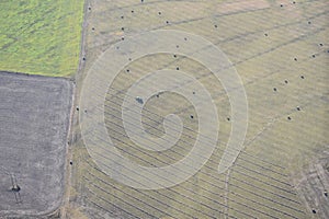 Aero view of a tractor bailing hay in Oklahoma