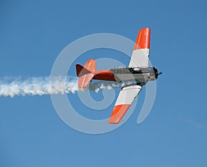 Aerobatic Demonstration photo