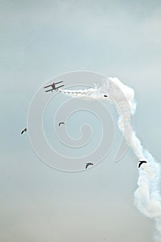 Aerobatics, air show. Aircraft team performing in the sky. Airplane, aerobatic, birds. .