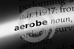 aerobe