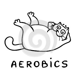 Aerobics with cheerful fat cat. vector illustration