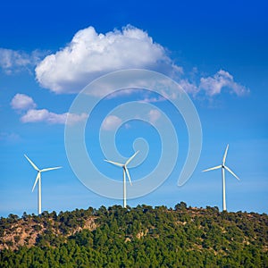 Aerogenerator windmills in the mountain top photo