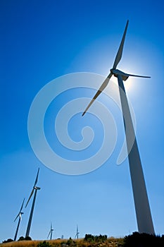 Aerogenerator windmills in a row in blue sky