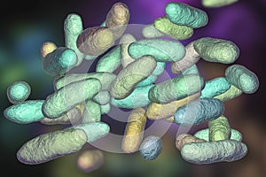 Aeromonas bacteria, 3D illustration