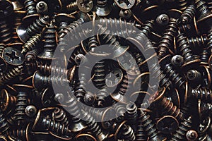 the plurality of screws photo