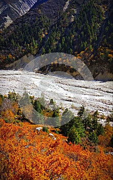 Aesthetic beauty nature landscape Gangotri Himalayas Uttrakhand India