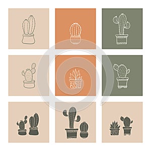 Aesthetic Cactus vector illustration set,