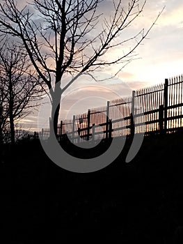 Aesthetic fence