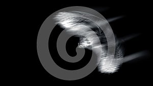 Flying owl. Black background.