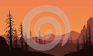 Aesthetic mountain panorama with the silhouette of dry trees on the edge of the countryside