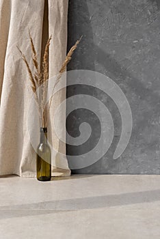 Aesthetic natural interior decor, vase vith dried grass on beige stone floor, linen curtain, empty gray concrete wall