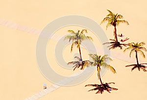 Aesthetic palms under the sun in Tenerife, minimalist beach