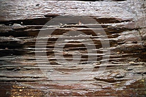 An aesthetic photo of weathered wood texture