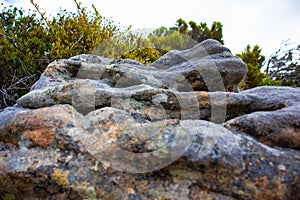 Aesthetically pleasing textures and contours of curvy rocks on the mountains of Cape Point.