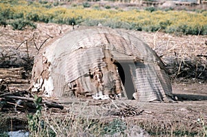 Afar hut