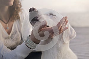 Affectionate dog places his muzzle on his master`s hand