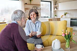 An affectionate senior couple in love sitting on sofa indoors at home.