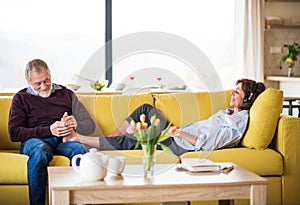 Affectionate senior couple in love sitting on sofa indoors at home, relaxing.