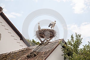 Affenberg (Monkey Hill) in Salem, Germany photo