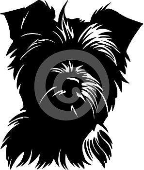 Affenpinscher Puppy Black Silhouette Generative Ai