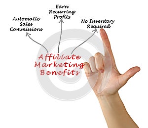 Affiliate Marketing Benefits photo
