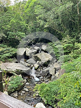 Afforestation and logging area deep in the mountains of the farm