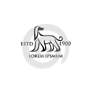 Afghan Hound dog logo icon designs illustration logo icon designs illustration