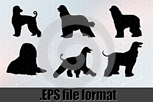 Afghan Hound Dog Silhouette Bundle SVG