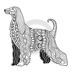 Afghan hound dog zentangle stylized, vector, illustration, freehand pencil, pattern. Zen art. Black and white illustration on