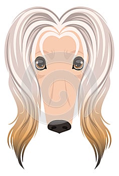 Afghan hound face icon. Cartoon dog head