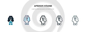 Afghan hound icon in different style vector illustration. two colored and black afghan hound vector icons designed in filled,