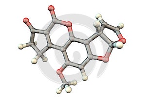 Aflatoxin B1 molecule, a toxin produced by fungi Aspergillus