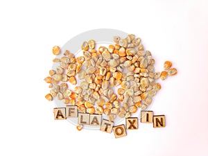 Aflatoxin in corn, poultry feed problem