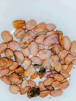 Aflatoxins poisoning by Fungi in Groundnut