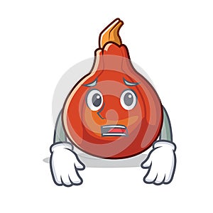 Afraid red kuri squash mascot cartoon