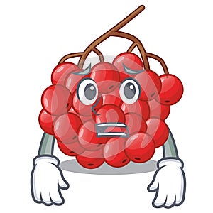 Afraid rowan slices fruit cartoon berries shape photo