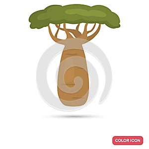 Africa baobab color flat icon