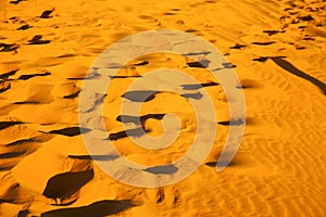 africa the brown sand dune in sunrise