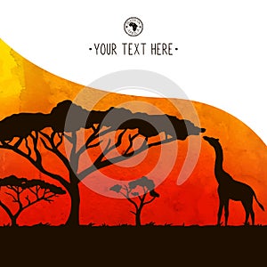 Africa card acacia tree and giraffe silhouette