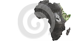 Africa continent shape with gorilla face, zooming in