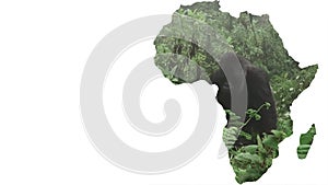 Africa continent shape with silver back gorilla approaching