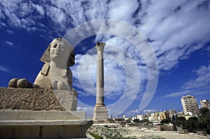 AFRICA EGYPT ALEXANDRIA CITY POMPEY PILLAR