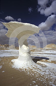 AFRICA EGYPT SAHARA FARAFRA WHITE DESERT