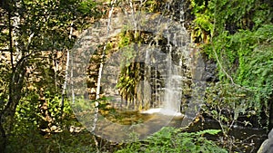 Africa Jungle Waterfall Botswana