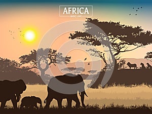 African landscape. Grass, trees, birds, animals silhouettes. Abstract nature background.