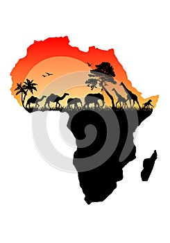 Africa map with wild animals, trees and sun, vector illustration