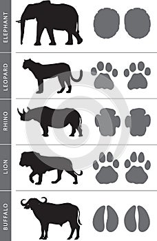 Africa`s Big Five footprints