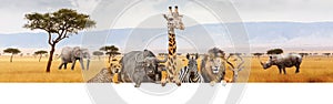 Africa Safari Animals Over Web Banner