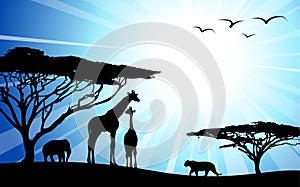 Africa / safari - silhouettes